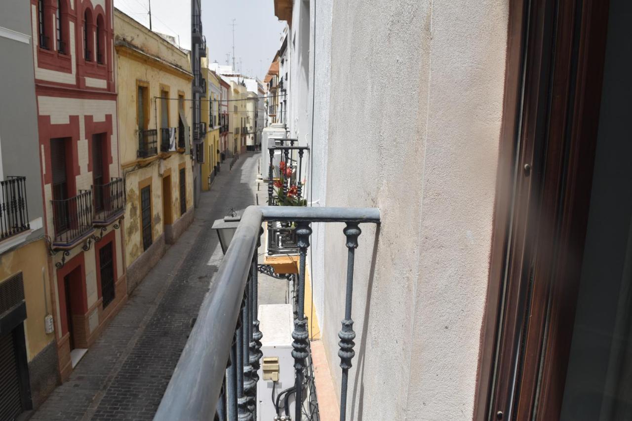Alleanza, Balcon De La Maestranza — Photos 3